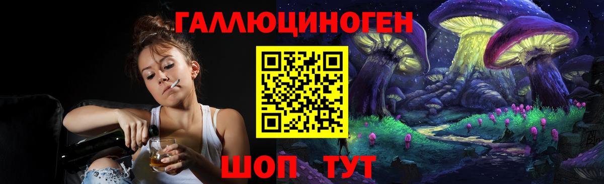 хочу наркоту  Псилоцибиновые грибы GOLDEN TEACHER  Вход с VPN  Саров 